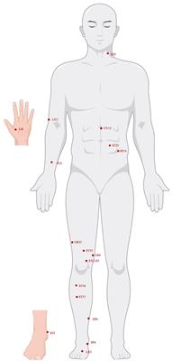 Acupuncture influences multiple diseases by regulating gut microbiota